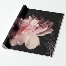 Zoek naar pony cadeaupapier Illustratie