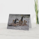 Zoek naar ganzen kaarten Meer