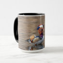 Recherche de canards sauvages tasses Sauvagine