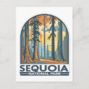 Zoek naar sequoia briefkaarten Sequoia nationaal park