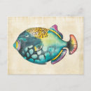 Recherche de poissons cartes postales Eau