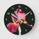 Recherche de racine horloges Botanique