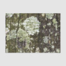 Recherche de vert vivant Rustique