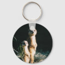 Zoek naar meerkat sleutelhangers Afrika
