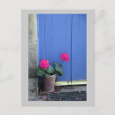 Zoek naar roze deur posters Kleurrijk
