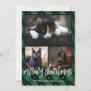 Recherche de collage de chat vœux cartes Vert