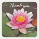 Recherche de nénuphars roses autocollants Pour tous