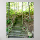 Recherche de traces posters Forêt