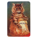 Recherche de douceur magnets Chat