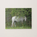 Zoek naar paarden puzzels Boerderij