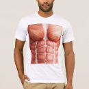 Recherche de anatomie musculaire Médecin