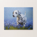 Recherche de dalmate puzzles Dog