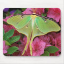 Recherche de nancy tapis souris Vert