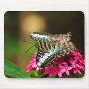 Recherche de ailes papillon tapis souris Plante