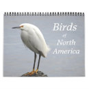 Recherche de du nord bureau fournitures Faune