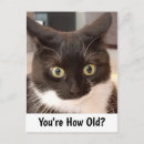 Recherche de surprises vœux cartes Humoristique