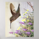 Recherche de de colibri art Bleu