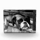 Recherche de bibliothèque photographie Noir