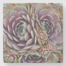 Zoek naar planten onderzetters Tuin