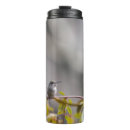 Recherche de arbuste tasses Plante