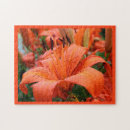 Recherche de tigers puzzles Pour elle
