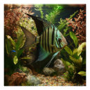 Recherche de poissons posters Tropical
