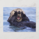 Recherche de loutre de mer cartes postales Maritime