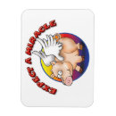 Recherche de les porcs magnets Mouche