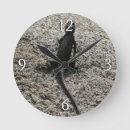 Recherche de lézards horloges Nature