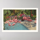 Recherche de anniversaire rose de flamant art Oiseaux