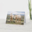 Recherche de étalon sauvage vœux cartes Ferme