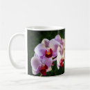 Recherche de orchidée rose tasses Nature