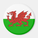 Zoek naar wales vlag magneten Welsh