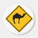 Zoek naar camel magneten Kamelen