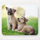 Recherche de germanique tapis souris Dog