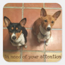 Recherche de basenji autocollants Rouge