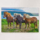 Zoek naar ijslandse paarden puzzels Dier