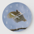 Recherche de parrots horloges Pour tous
