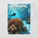 Zoek naar bonaire briefkaarten Reis