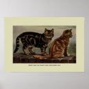 Recherche de croquis vintage posters Illustration