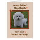Recherche de bichon vœux cartes Mignon