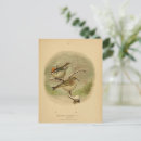 Recherche de oiseaux vintages cartes postales Illustration
