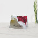 Recherche de zantedeschia rose Floral