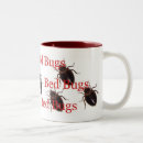 Recherche de punaise tasses Insectes
