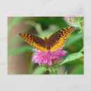 Zoek naar vliegend insect briefkaarten Insecten