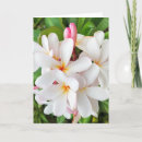 Recherche de hawaii vœux cartes Floral