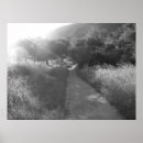Recherche de voies posters Lumière