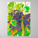 Recherche de fruit de la vigne posters Botanique