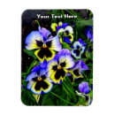 Recherche de coeur jaune magnets Bleu