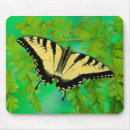 Recherche de papillon jaune et noir tapis souris De près